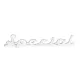 Targhetta Fregio Posteriore Cromata Special per Vespa 50 Special V5A2T V5B1T