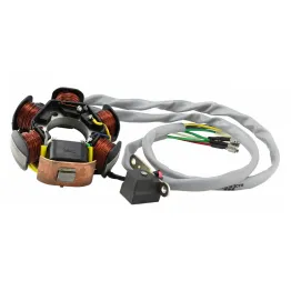 MF8361 Statore Originale Piaggio Zip SP NRG MC1 MC2 MC3 Liberty Typhoon 50 2T