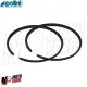 MF8367 Fasce Dm 61,4 per Rettifica Cilindro Polini 152 cc Vespa T5 125