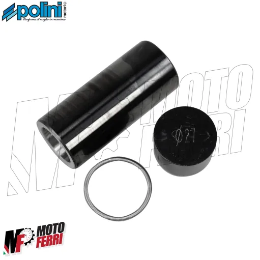 MF8371 Variatore Polini Hi-Speed Yamaha X-Max 250 / Majesty 250 / Versity 300