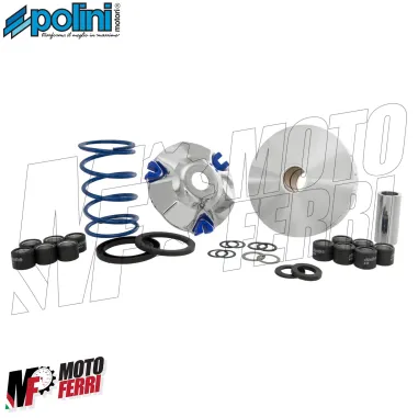 MF8381 Variatore Polini Piaggio NRG Zip Runner SR Scarabeo Liberty ET2 LX 50 2T