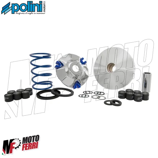 MF8381 Variatore Polini Piaggio NRG Zip Runner SR Scarabeo Liberty ET2 LX 50 2T