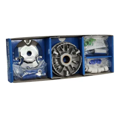 MF8382 Variatore Polini 9 Rulli Minarelli 2T MBK Booster Yamaha BWS 50 2T