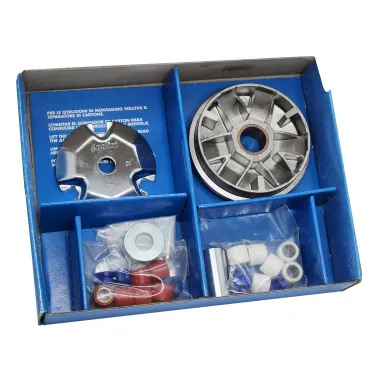 MF8384 Variatore Polini per Malaguti F12 50 2T 2000 Kat E2 Carter Ventilato