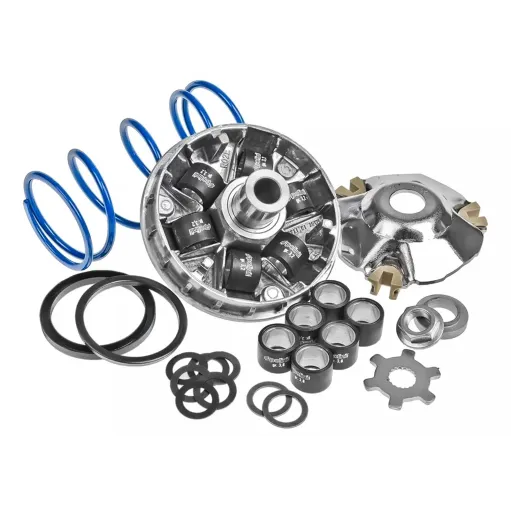 MF8389 Kit Variatore Polini Dm 16 Minarelli Aerox F12 F15 SR Scarabeo Neos 2T