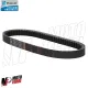 MF8404 Cinghia Trasmissione Gilera 125 2T Runner FX FXR / Typhoon X XR 1995-2002