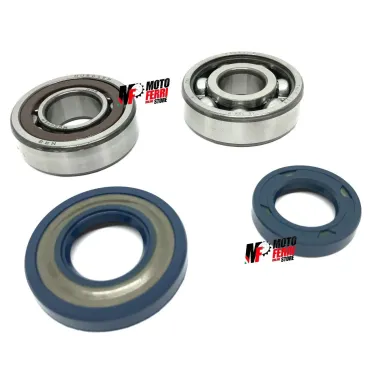 MF1540 - Kit Revisione Albero Motore Cuscinetti Paraoli Rulli Vespa Special ET3