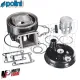 MF8550 Cilindro Ghisa Polini 70cc Dm 47 Corsa 39 - Minarelli DL3 LC H2O