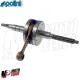 MF8577 Albero Motore Polini Spinotto 12 per Minarelli F12 Aerox SR Scarabeo 50