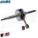 MF8577 Albero Motore Polini Spinotto 12 per Minarelli F12 Aerox SR Scarabeo 50