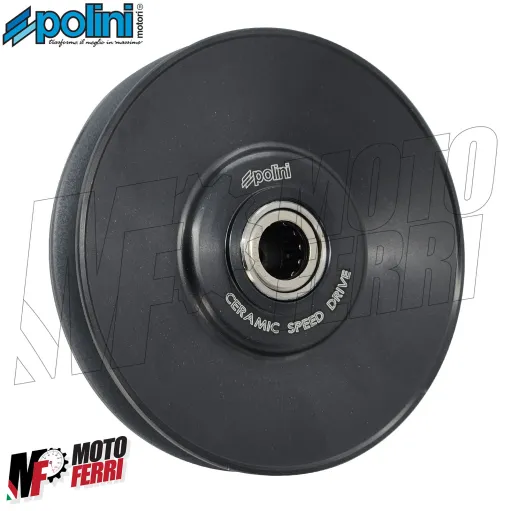 MF8578 Correttore di Coppia Evolution 3 Polini Runner NRG Zip SR Liberty 50 2T