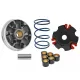 MF8602 Variatore Malossi Peugeot Speedfight Elyseo Trekker Vivacity 100 No Kat