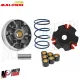 MF8602 Variatore Malossi Peugeot Speedfight Elyseo Trekker Vivacity 100 No Kat