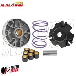 MF8606 Variatore Malossi Multivar per Piaggio Zip / Free / Fly / Liberty 100 4T 2