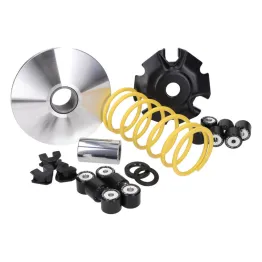 MF8607 Variatore Malossi Multivar per Peugeot Tweet 125 dal 2010 al 2025