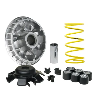 MF8613 Variatore Malossi Multivar Suzuki UH Burgman 200 dal 2006 al 2012