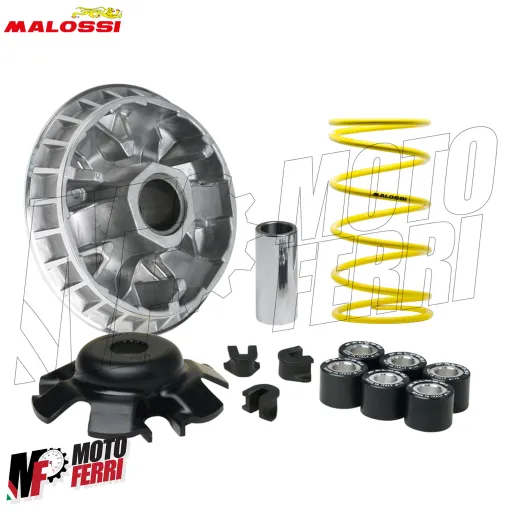MF8613 Variatore Malossi Multivar Suzuki UH Burgman 200 dal 2006 al 2012
