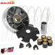 MF2891 Kit Variatore Completo Malossi Multivar 2000 Honda NSC50R Vision 50 4T