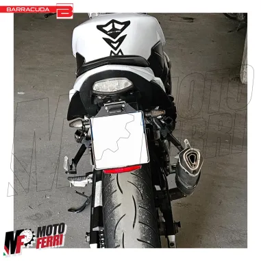 MF4506 Catadritto catarifrangente per Portatarga Moto Barracuda Universale