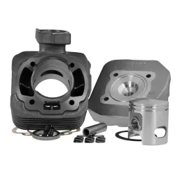 MF8689 Cilindro Dm 47 Malossi Peugeot Speedfight Trekker Squab Buxy Speedake 2T