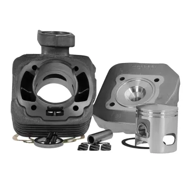 MF8689 Cilindro Dm 47 Malossi Peugeot Speedfight Trekker Squab Buxy Speedake 2T