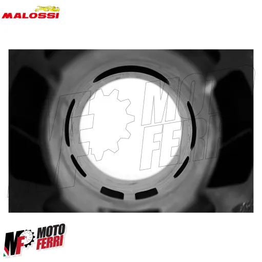 MF8689 Cilindro Dm 47 Malossi Peugeot Speedfight Trekker Squab Buxy Speedake 2T