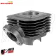 MF8689 Cilindro Dm 47 Malossi Peugeot Speedfight Trekker Squab Buxy Speedake 2T