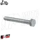 MF8699 Vite Fissaggio Marmitta Vespa PX 125 150 200 PE ARCOBALENO Prima Serie