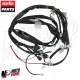 MF8725 Impianto Cablaggio Fili Aprilia Scarabeo 50 4T 4V NET 2009 - 2012 TGE00