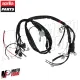 MF8725 Impianto Cablaggio Fili Aprilia Scarabeo 50 4T 4V NET 2009 - 2012 TGE00