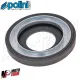MF8805 Molla di Contrasto POLINI Blu + Slider TMax 500 530 560 da 2001 a 2026