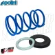 MF8805 Molla di Contrasto POLINI Blu + Slider TMax 500 530 560 da 2001 a 2026