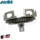 MF1681 CAMPANA PRIMARIA FRIZIONE POLINI RACING 27 / 69 DENTI DRITTI VESPA SMALL