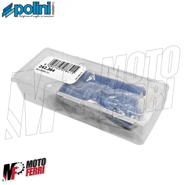 MF8905 Rulli 17 grammi 25X19 Variatore Originale Polini Malossi Gilera GP 800 Aprilia SRV 850