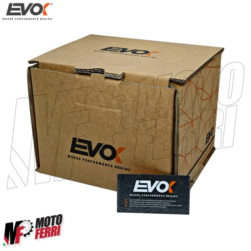MF8912 Cilindro Ghisa EVOK IRON BOOST 58 Corsa 51 Vespa 50 125 Special ET3 PK R Ape