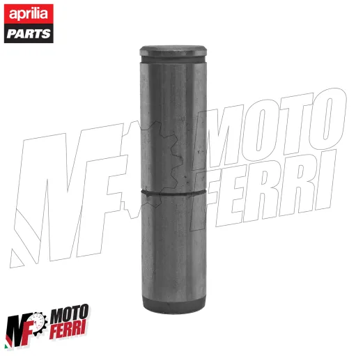 MF8969 Perno Pompa Olio Ingranaggio Rinvio Aprilia RXV SXV 450 550 - 2006 a 2011