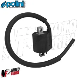 MF9047 Bobina Accensione Digitale Polini 2T Booster BWS NRG ZIP AEROX Nitro Jog 2