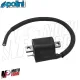 MF9047 Bobina Accensione Digitale Polini 2T Booster BWS NRG ZIP AEROX Nitro Jog
