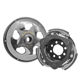 MF1884 Frizione e Campana Malossi Piaggio Beverly 125 200 250 300 HPE Tourer RST