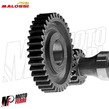 MF9109 Ingranaggi Primari Malossi Derbi Atlantis Predator Paddock 50 HTQ Z15/43