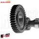 MF9109 Ingranaggi Primari Malossi Derbi Atlantis Predator Paddock 50 HTQ Z15/43