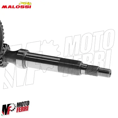 MF9109 Ingranaggi Primari Malossi Derbi Atlantis Predator Paddock 50 HTQ Z15/43