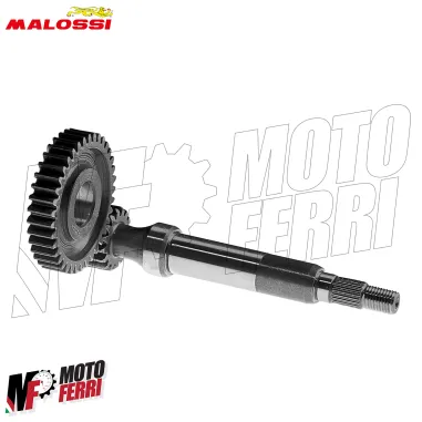 MF9109 Ingranaggi Primari Malossi Derbi Atlantis Predator Paddock 50 HTQ Z15/43