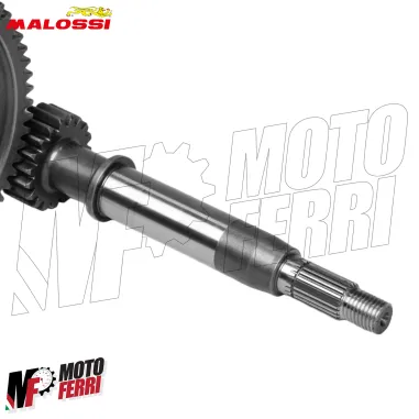 MF9110 Ingranaggi Primari Malossi Kymco Agility RS R16 R16+ People 50 HTQ Z16/57