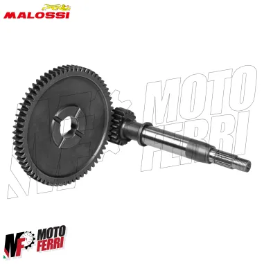 MF9110 Ingranaggi Primari Malossi Kymco Agility RS R16 R16+ People 50 HTQ Z16/57