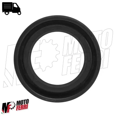 PARAOLIO RUOTA POSTERIORE 27 42 10 VESPA 125 150 200 PX ARCOBALENO - T5