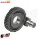 MF5664 Ingranaggi Secondari Malossi HTQ Z15/47 Piaggio ZIP - Vespa 50 4T ET4 LX S