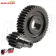 MF5663 Ingranaggi Secondari Malossi 15 / 41 Vespa iGet Primavera Sprint 125 150