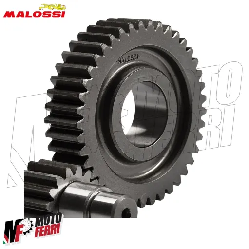 MF5663 Ingranaggi Secondari Malossi 15 / 41 Piaggio Liberty 125 150 iGet LE