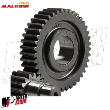 MF5663 Ingranaggi Secondari Malossi 15 / 41 Piaggio Medley S 125 150 - 2016/2024